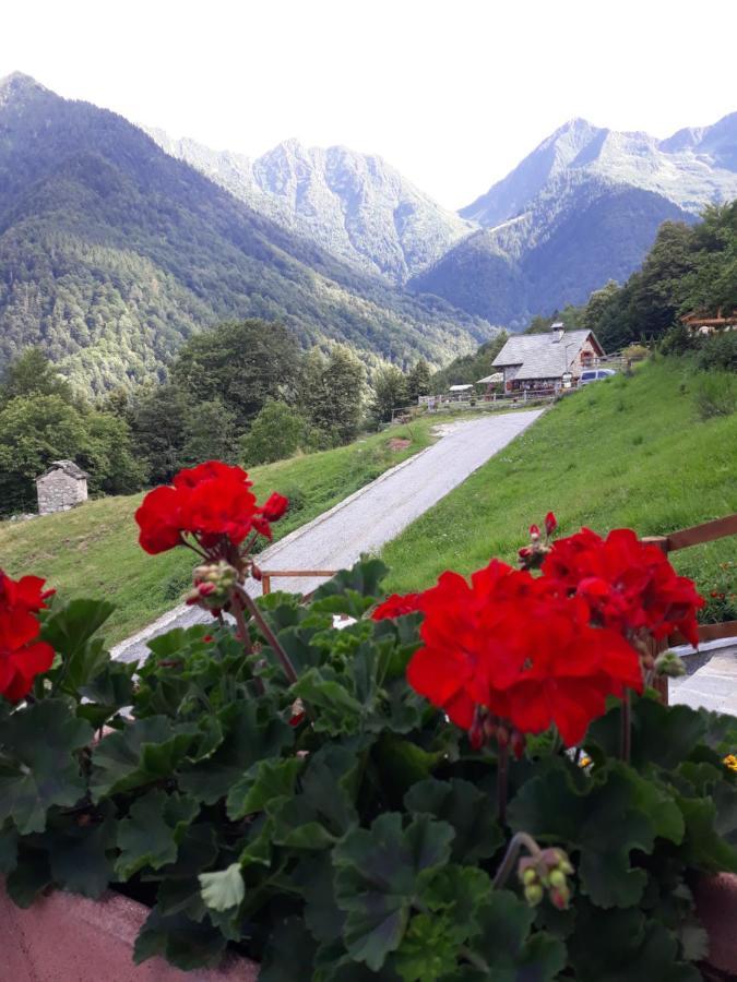 Casa All'Alpe Gaggetto B & B Anzino Exteriör bild