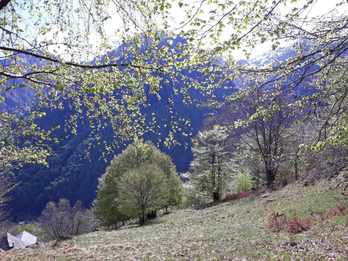 Casa All'Alpe Gaggetto B & B Anzino Exteriör bild