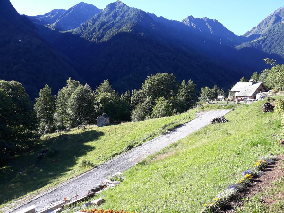 Casa All'Alpe Gaggetto B & B Anzino Exteriör bild