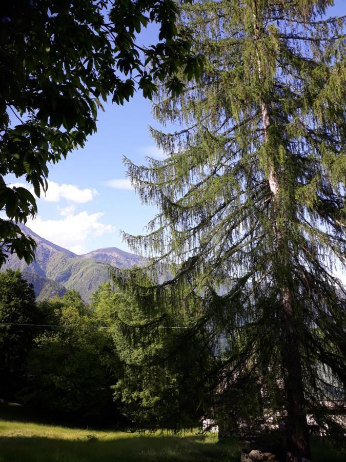 Casa All'Alpe Gaggetto B & B Anzino Exteriör bild