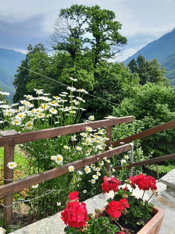 Casa All'Alpe Gaggetto B & B Anzino Exteriör bild