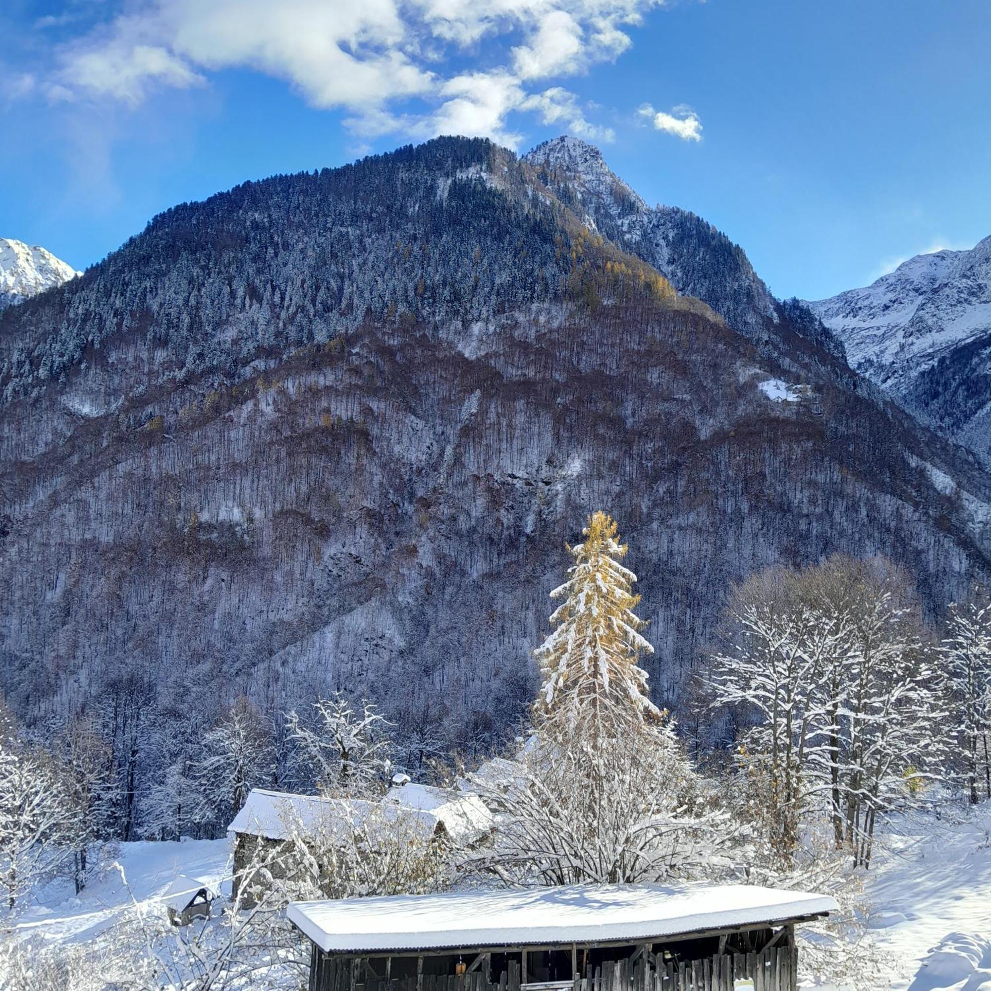 Casa All'Alpe Gaggetto B & B Anzino Exteriör bild