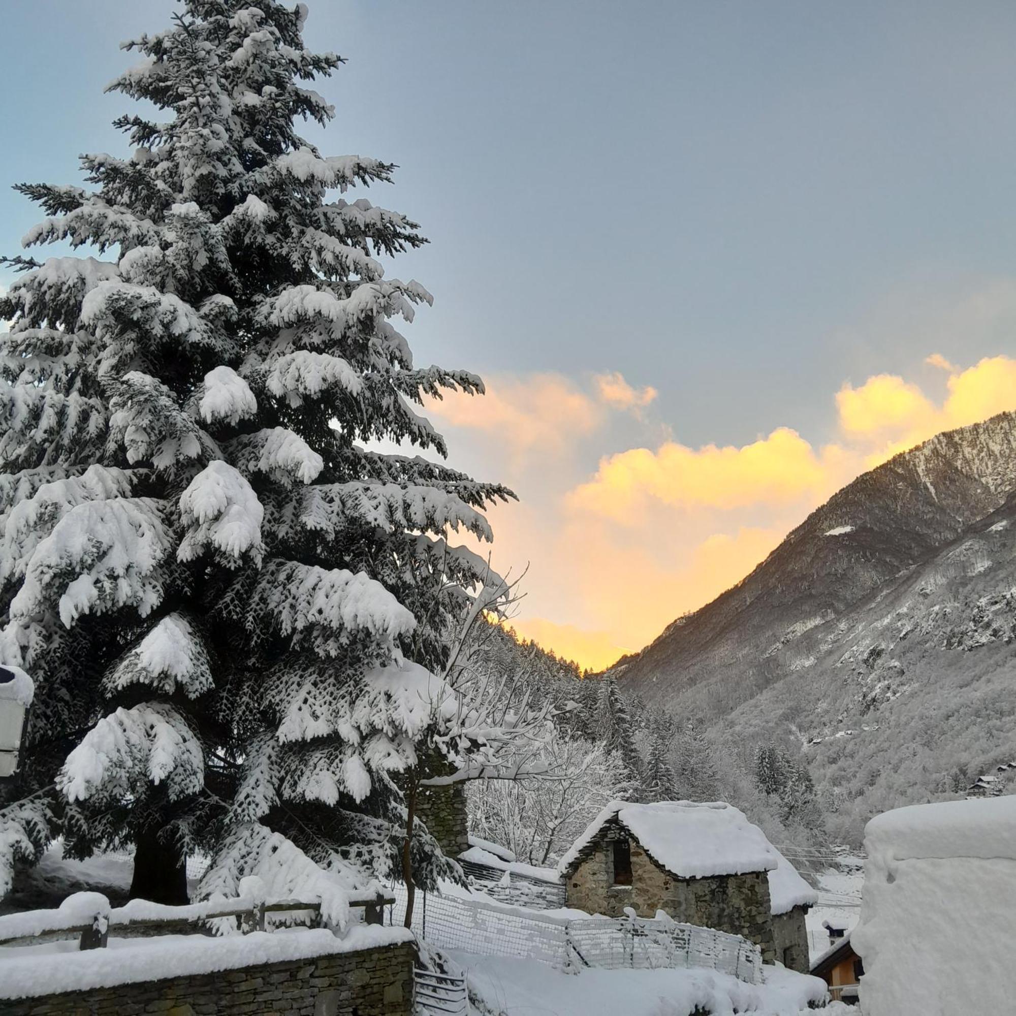 Casa All'Alpe Gaggetto B & B Anzino Exteriör bild